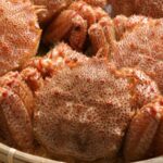 【2022年】おすすめ北海道産毛ガニ/人気お取り寄せ通販ランキングTOP20!