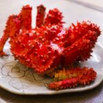 【激安・訳あり品も】人気の花咲ガニ通販2022年おすすめランキングTOP20!